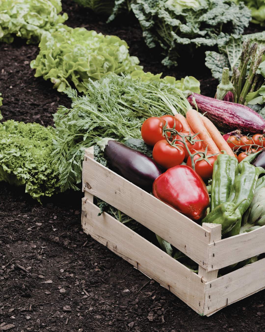 Le sur mesure engagé